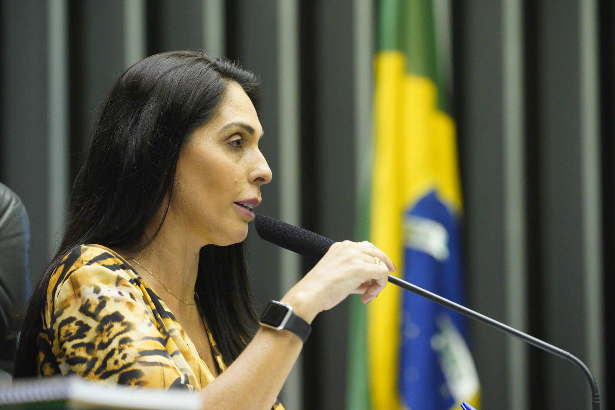 Foto: Divulgação/Alessandro Loyola